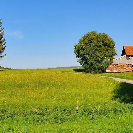 Am Feriendorf Hochbergle Haus 8 *